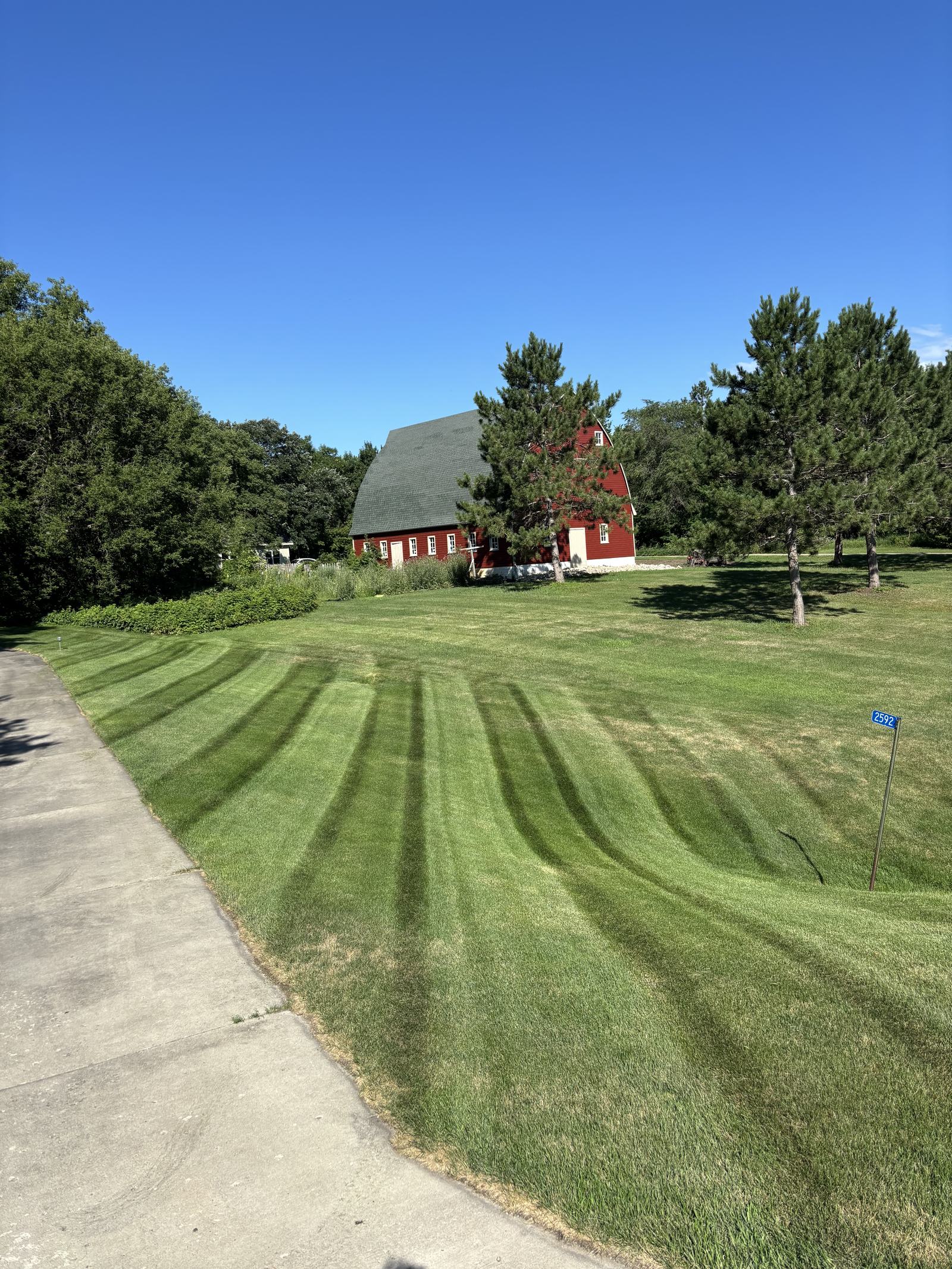 Striped lawn in front of a red barn