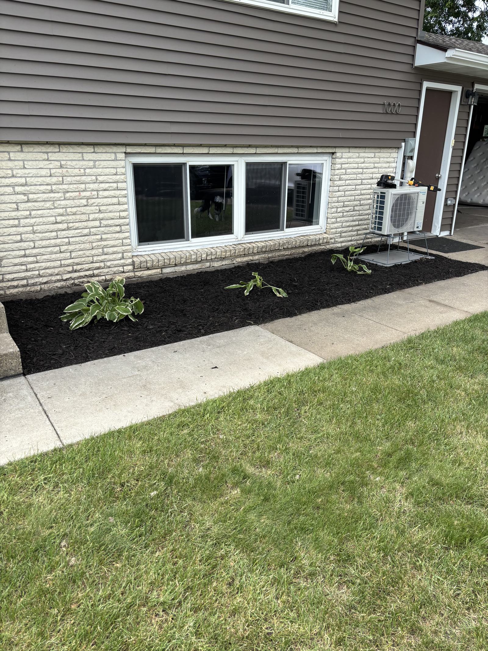 Fresh mulch bed with hostas along a foundation